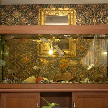 Aquarium 3* Istambul